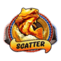 Скатер
